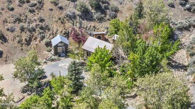 285 Main St, Silver City, NV 89428 - view of subject property with a desert landscape