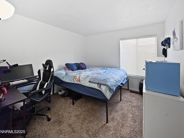 620 W National Ave, Winnemucca, NV 89445 - carpeted bedroom with a desk