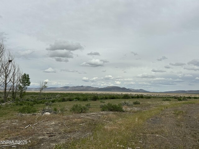 0 Fish Springs Rd, Reno, NV 89510 - photo 11
