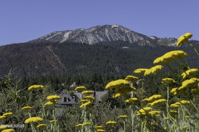 16360 Jefte Ct, Reno, NV 89511 - view of mountain backdrop featuring a forest
