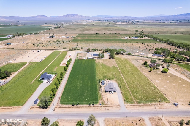 540 Upper Colony Rd, Smith Valley, NV 89444 - photo 23