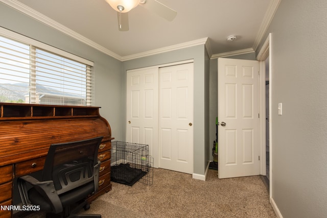 540 Upper Colony Rd, Smith Valley, NV 89444 - photo 14