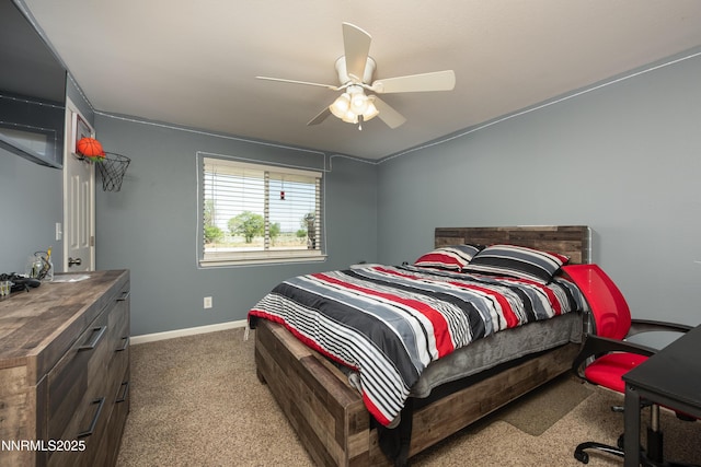 540 Upper Colony Rd, Smith Valley, NV 89444 - photo 12
