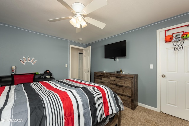 540 Upper Colony Rd, Smith Valley, NV 89444 - photo 43