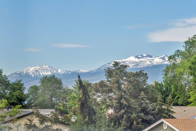 6505 Galice Ct, Sun Valley, NV 89433 - photo 8