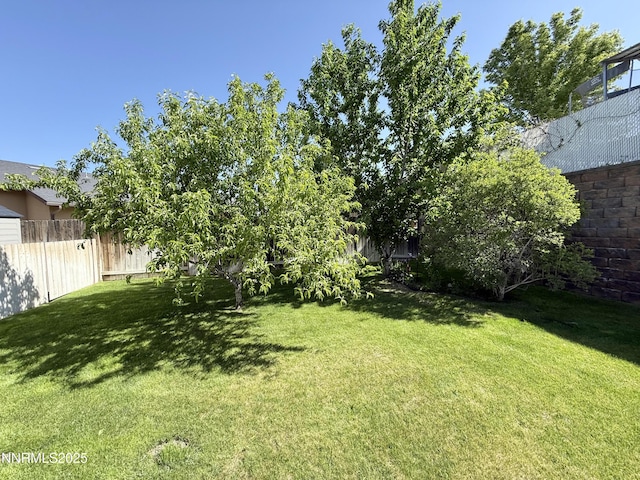 3221 Hackamore Way, Winnemucca, NV 89445 - view of yard