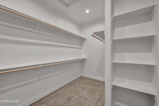 3952 Siena Dr, Carson City, NV 89703 - walk in closet with carpet floors