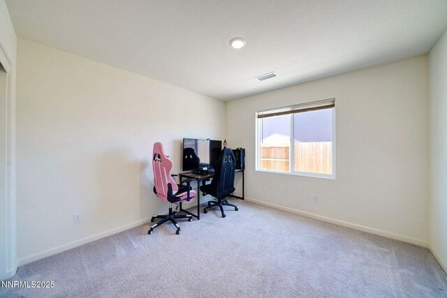 507 Echo Canyon Rd, Dayton, NV 89403 - photo 23