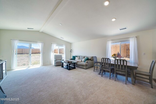 507 Echo Canyon Rd, Dayton, NV 89403 - photo 17