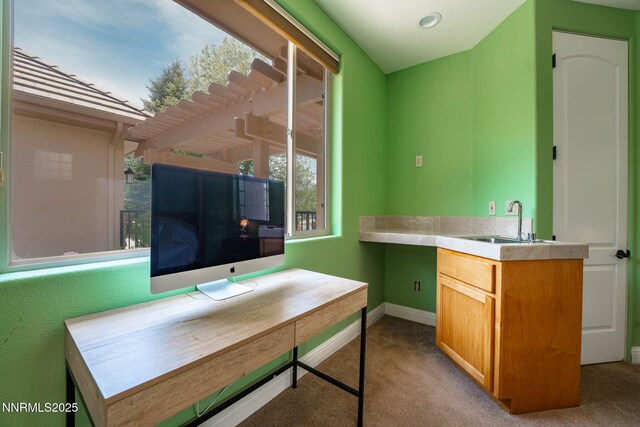 2473 Genoa Aspen Dr, Genoa, NV 89411 - office area featuring carpet flooring, baseboards, and a sink