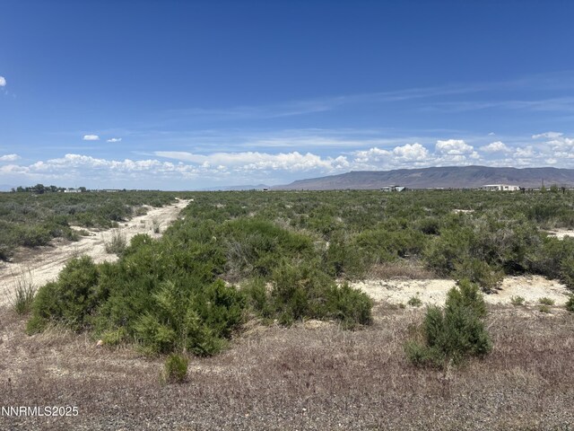 1565 William Harrison Ave, Battle Mountain, NV 89820 - photo 2