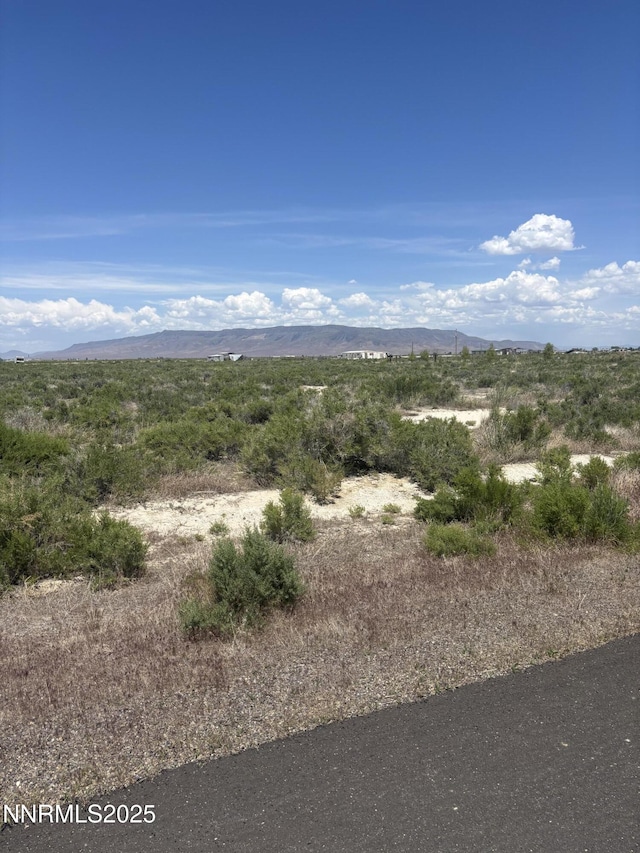 1565 William Harrison Ave, Battle Mountain, NV 89820 - photo 4
