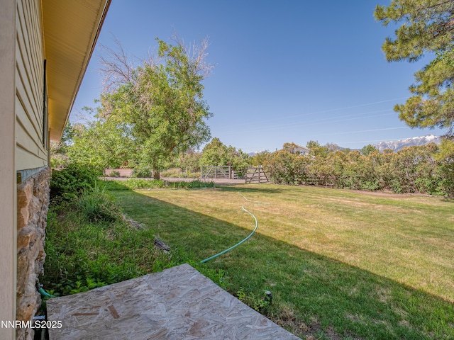 803 Mustang Ln, Gardnerville, NV 89410 - photo 40