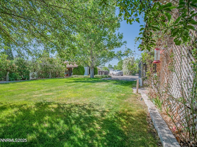 803 Mustang Ln, Gardnerville, NV 89410 - photo 41