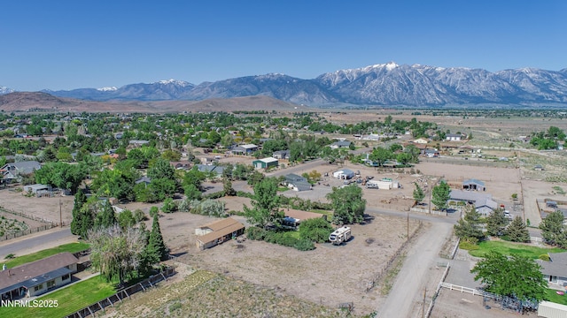 803 Mustang Ln, Gardnerville, NV 89410 - photo 57