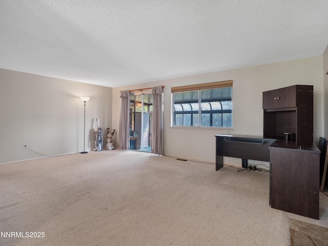 803 Mustang Ln, Gardnerville, NV 89410 - photo 19