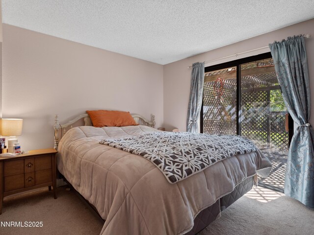 803 Mustang Ln, Gardnerville, NV 89410 - photo 23