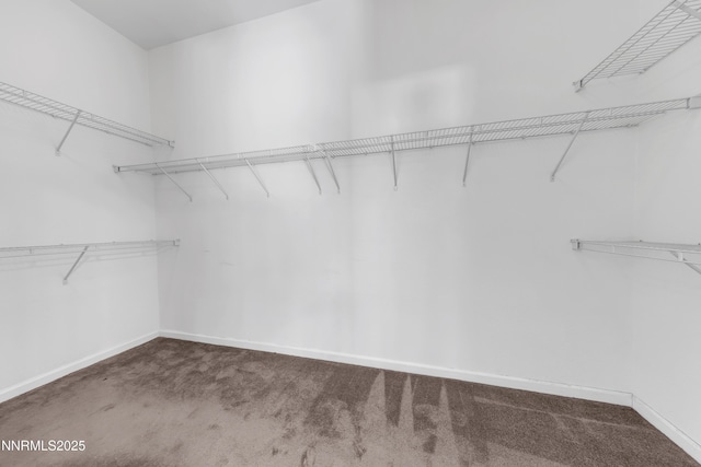 8355 Opal Ranch Way, Reno, NV 89506 - walk in closet with carpet floors