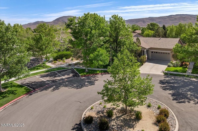 10548 Bliss Ct, Reno, NV 89521 - view of mountain background