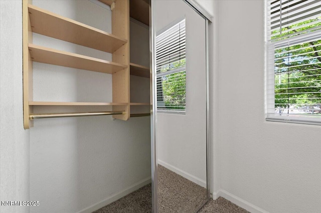 10548 Bliss Ct, Reno, NV 89521 - view of closet