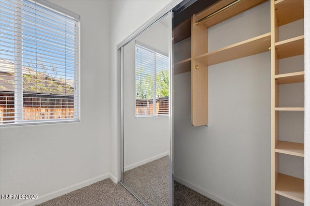 10548 Bliss Ct, Reno, NV 89521 - view of closet