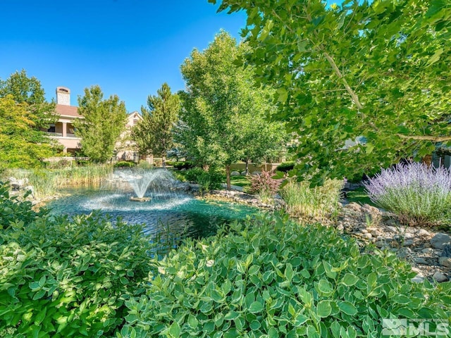 9900 Wilbur May Pkwy Apt 2801, Reno, NV 89521 - view of yard
