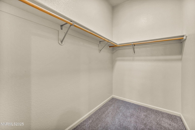 9900 Wilbur May Pkwy Apt 2801, Reno, NV 89521 - walk in closet featuring carpet