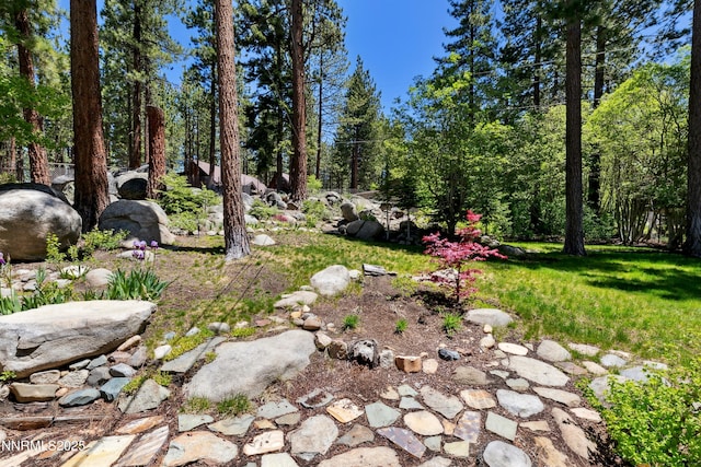 183 Chimney Rock Rd, Stateline, NV 89449 - photo 18