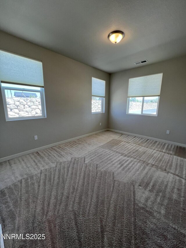 576 Country Hollow Dr, Fernley, NV 89408 - photo 22