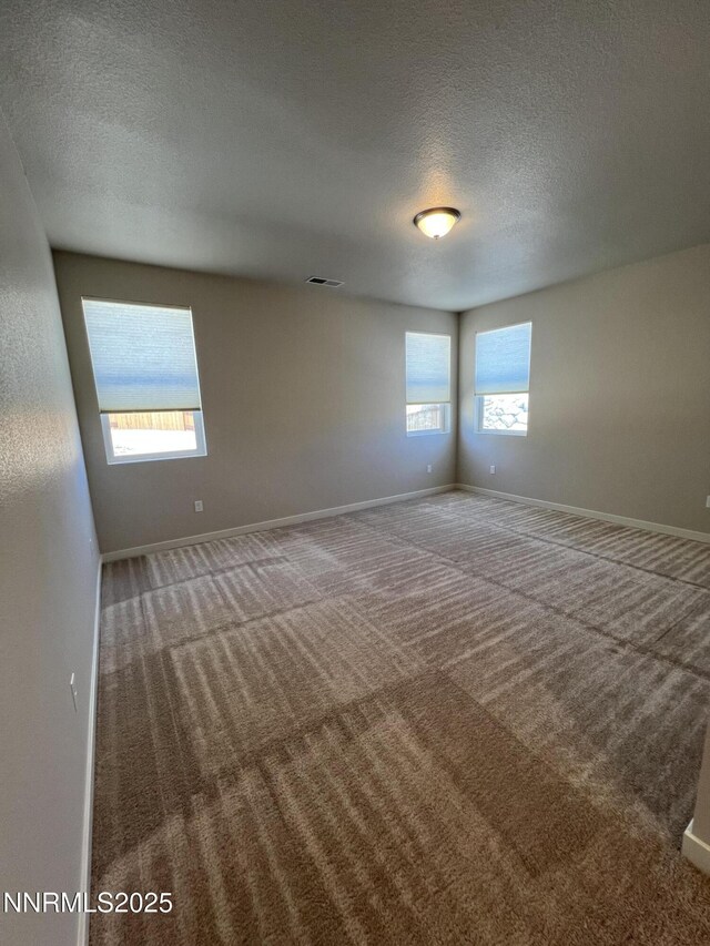 576 Country Hollow Dr, Fernley, NV 89408 - photo 26