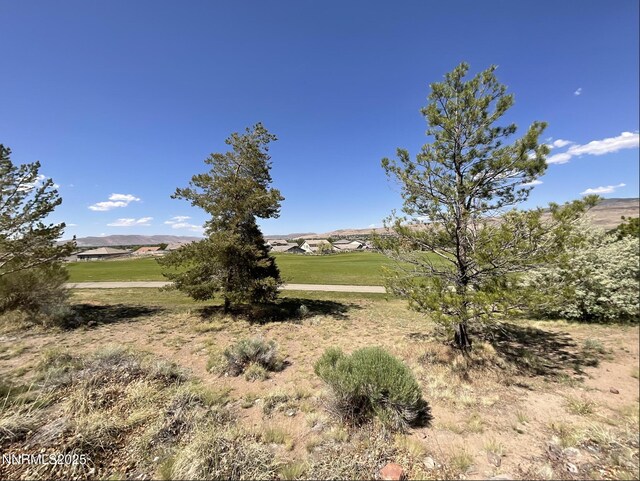 6367 Rey Del Sierra Dr, Sparks, NV 89436 - photo 5