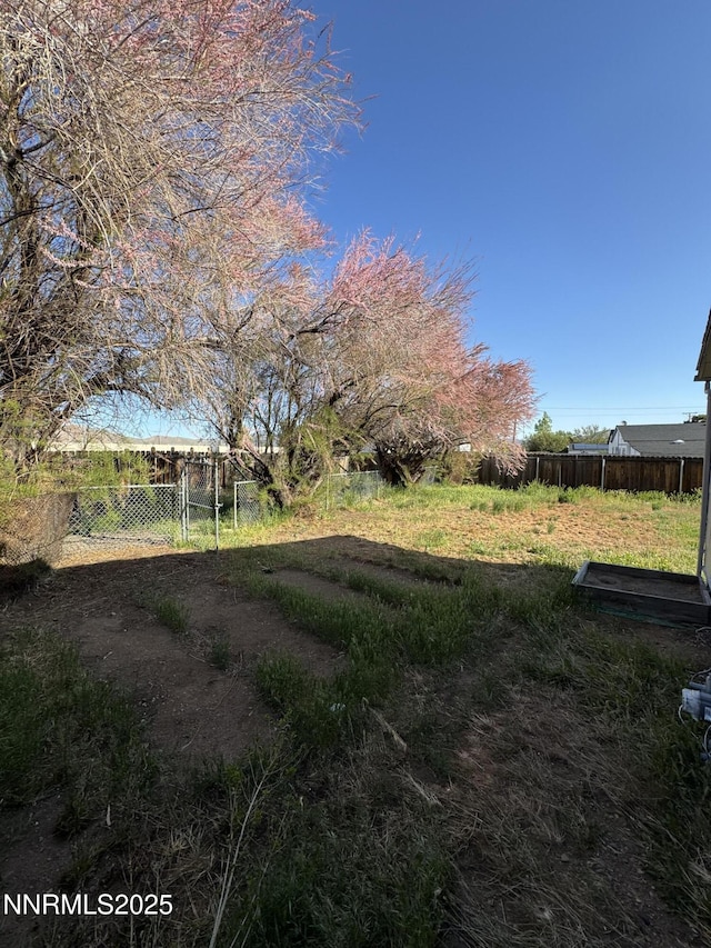 11303 Green Mountain St, Reno, NV 89506 - view of yard