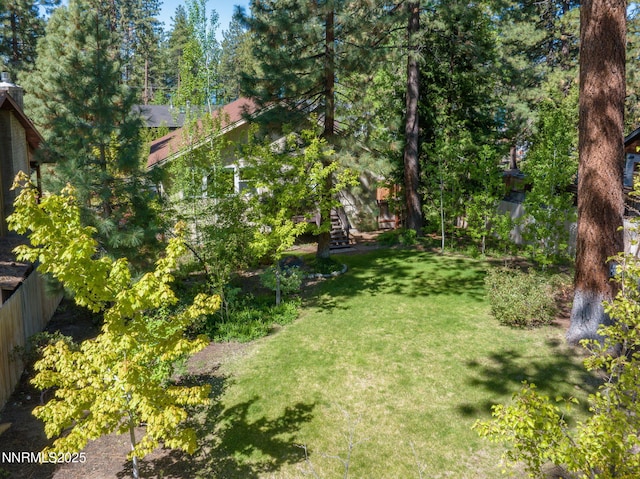 625 Freel Dr, Zephyr Cove, NV 89448 - view of green lawn with stairway