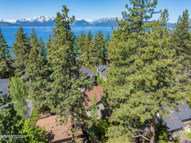 625 Freel Dr, Zephyr Cove, NV 89448 - drone / aerial view of a water and mountain view