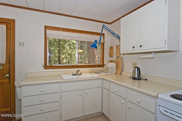 499 Shay Creek Rd, Markleeville, CA 96120 - photo 16