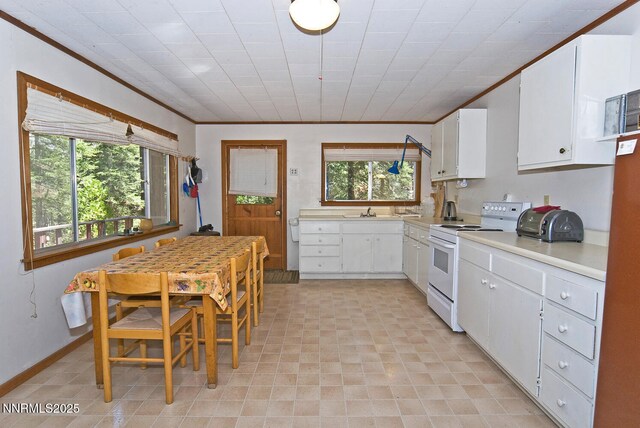 499 Shay Creek Rd, Markleeville, CA 96120 - photo 14