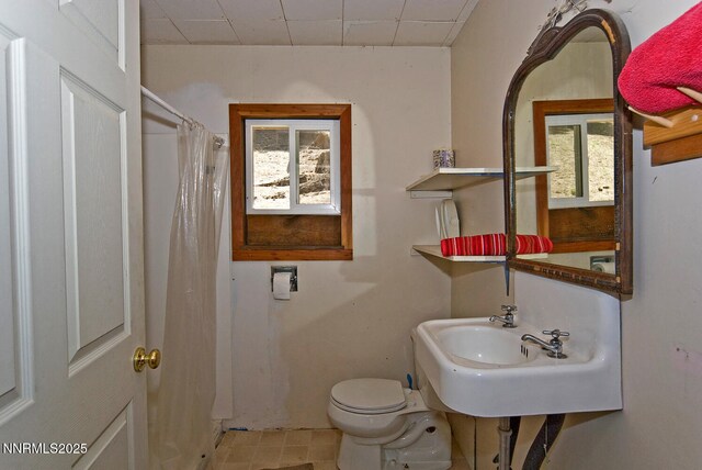 499 Shay Creek Rd, Markleeville, CA 96120 - photo 19