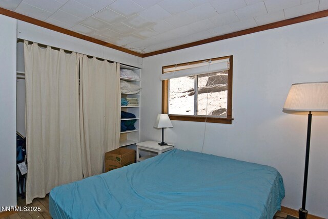 499 Shay Creek Rd, Markleeville, CA 96120 - photo 23