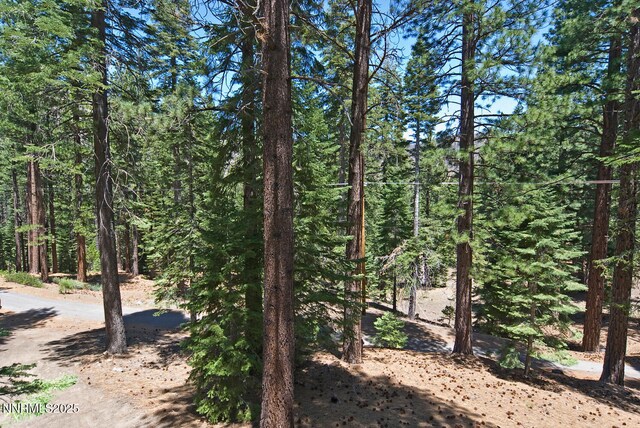 499 Shay Creek Rd, Markleeville, CA 96120 - photo 27