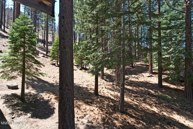 499 Shay Creek Rd, Markleeville, CA 96120 - photo 28
