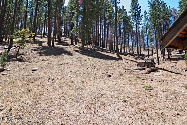 499 Shay Creek Rd, Markleeville, CA 96120 - photo 29