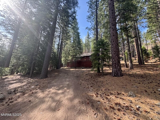 499 Shay Creek Rd, Markleeville, CA 96120 - photo 30