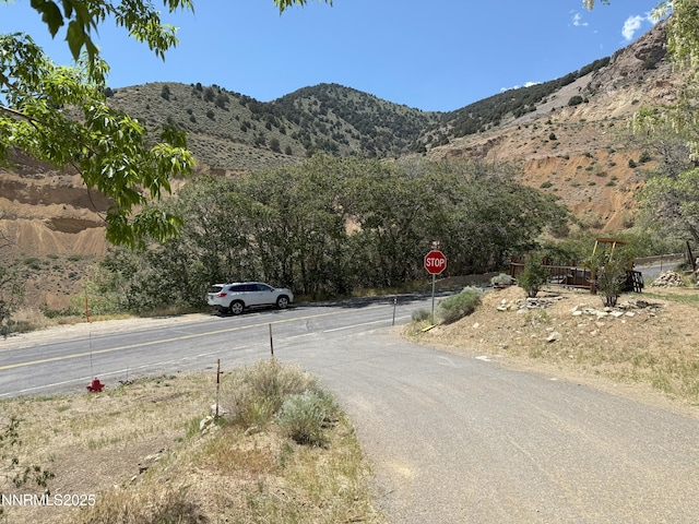 1341 N Main St, Virginia City, NV 89440 - photo 15