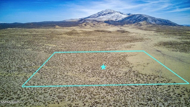 0 Blue Mountain Rd, Winnemucca, NV 89445
