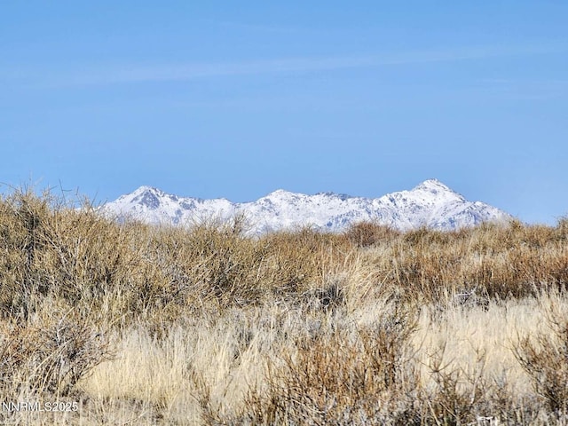 0 Blue Mountain Rd, Winnemucca, NV 89445