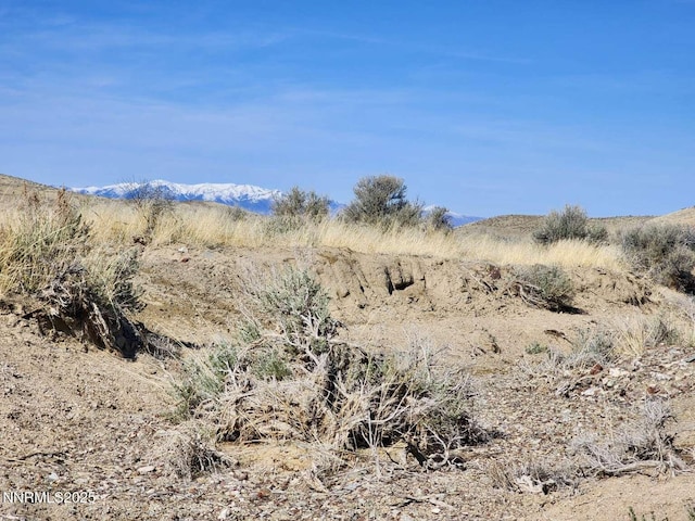 0 Blue Mountain Rd, Winnemucca, NV 89445