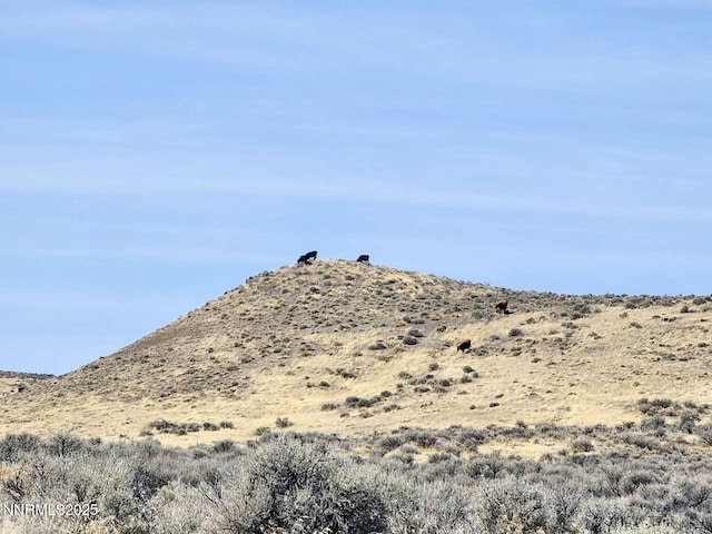 0 Blue Mountain Rd, Winnemucca, NV 89445