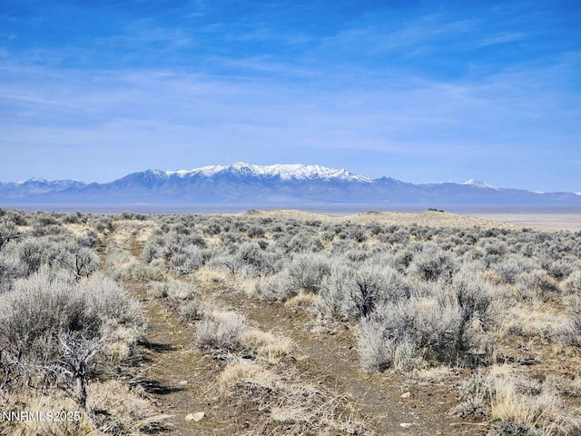 0 Blue Mountain Rd, Winnemucca, NV 89445