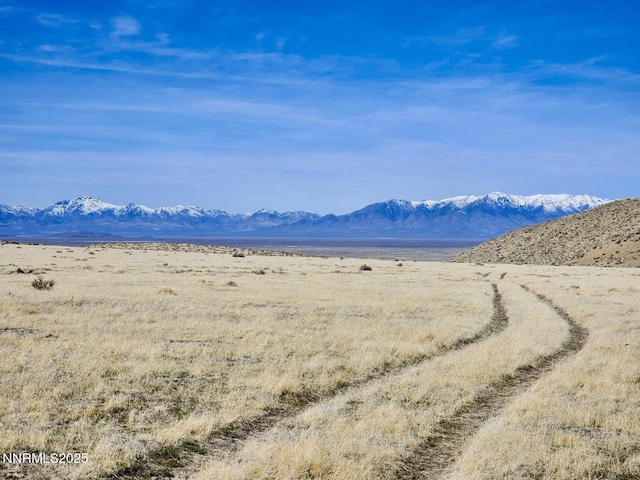 0 Blue Mountain Rd, Winnemucca, NV 89445