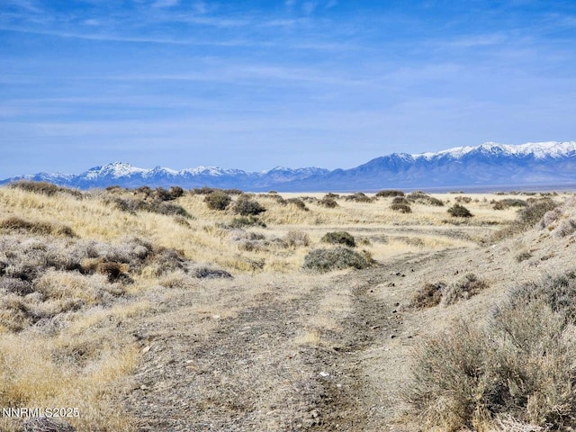 0 Blue Mountain Rd, Winnemucca, NV 89445